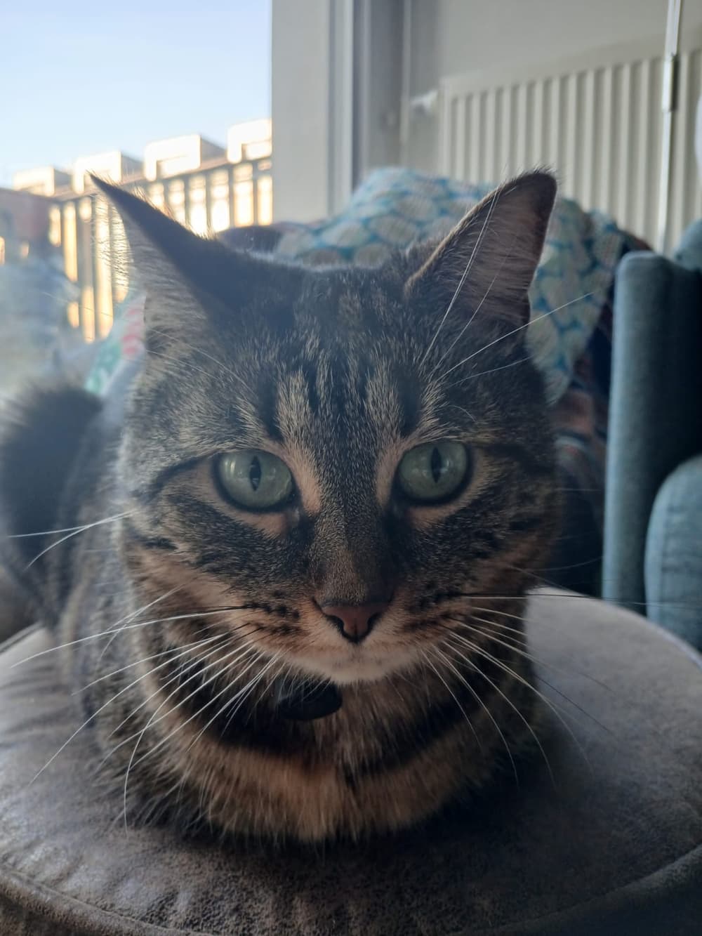 Pytha